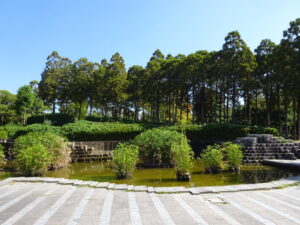 東公園　鴨池