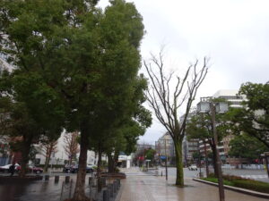 地下鉄空港線「祇園駅」から若八幡宮に向かう道