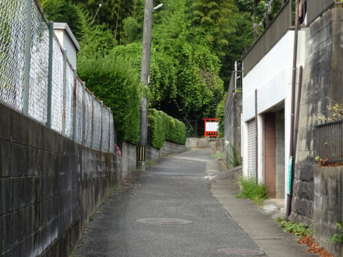 不老水に至る小道