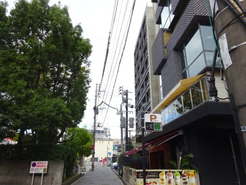 天神中央公園を抜けてお店に向かう