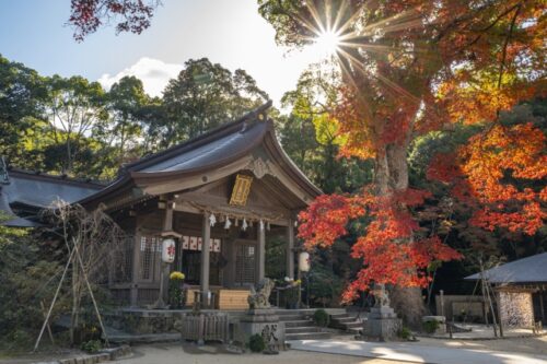 宝満宮竈門神社　拝殿