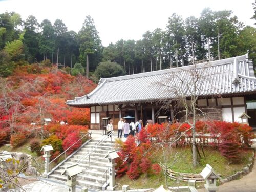 呑山観音寺　お堂