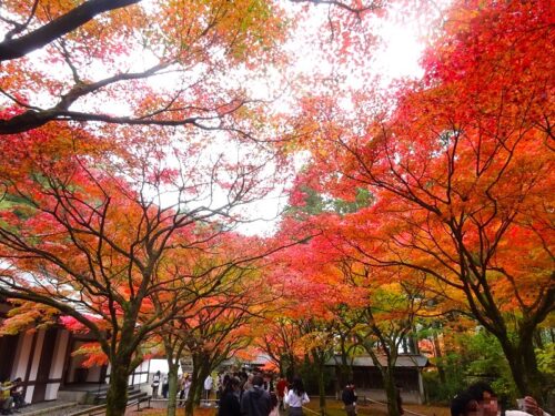 呑山観音寺 天王院