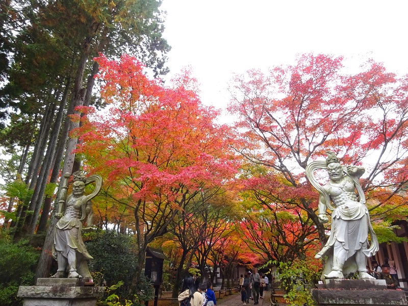 呑山観音寺　天王院入口