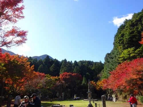 護摩道場の紅葉