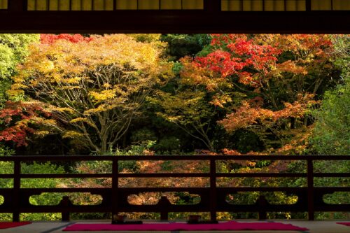 友泉亭公園の紅葉2