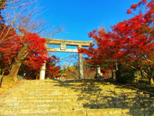 竈門神社の鳥居