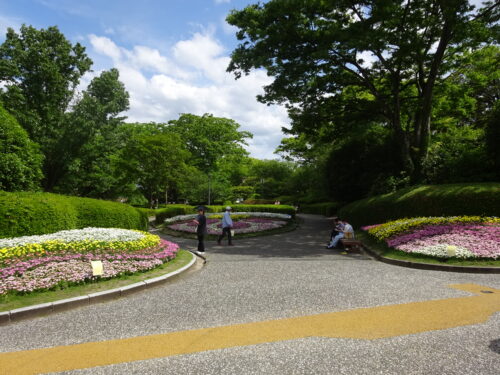 植物園の花々
