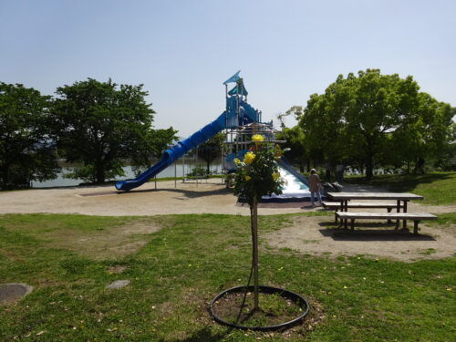 公園内の遊具