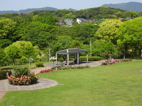 展望台からの眺め