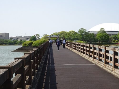駕与丁大橋からの景観