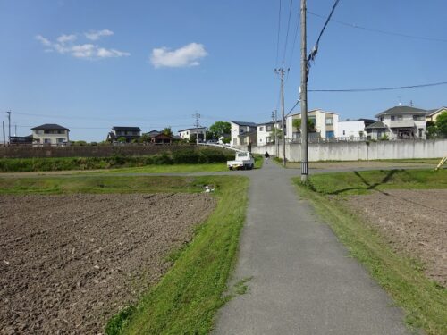 JR酒殿駅近くの田んぼの畦道
