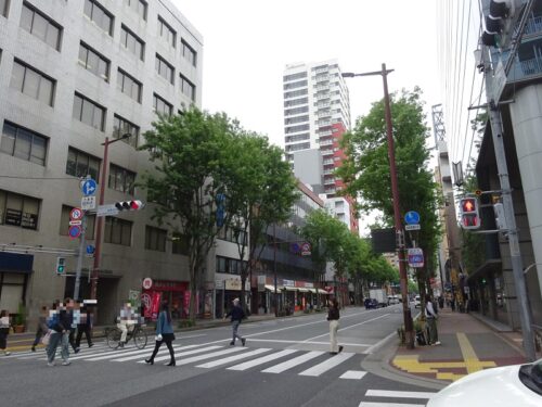 ハローワーク前の横断歩道