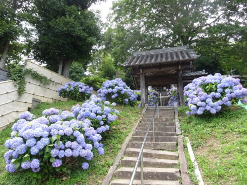 ヲベタ清正公堂　入口
