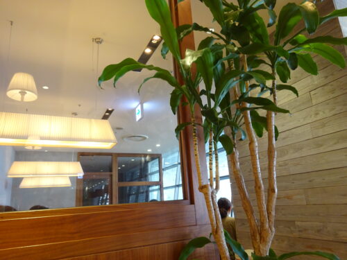店内風景1