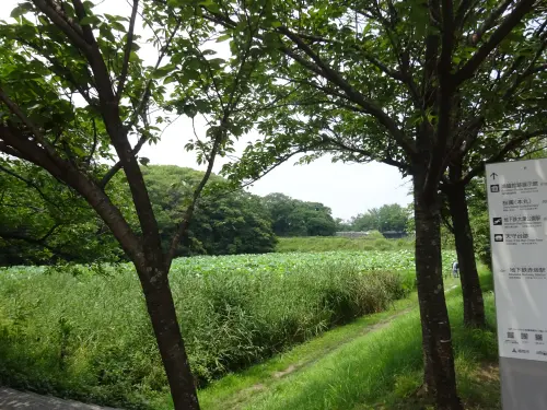 福岡城跡1号濠