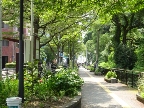 小川も流れる緑道