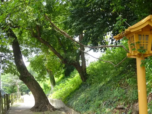 舞鶴公園東口から見た公園