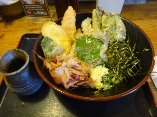 野菜天ぶっかけ