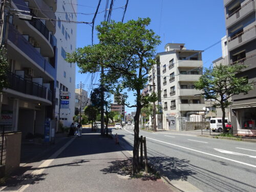城南区役所に向かう道