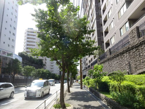 コアマンション桜坂プレジオ前