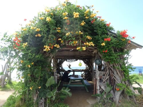近隣のお店の小屋