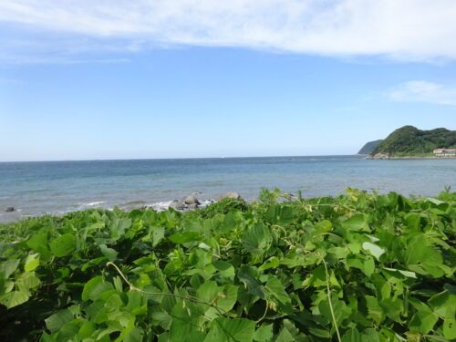 福岡市と糸島市の境目付近