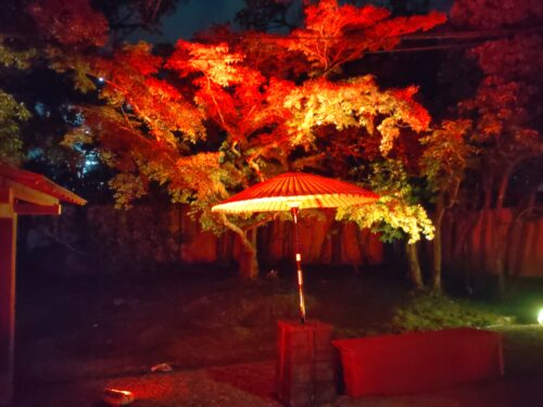 夜のライトアップ