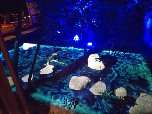 池の鯉のプロジェクションマッピング