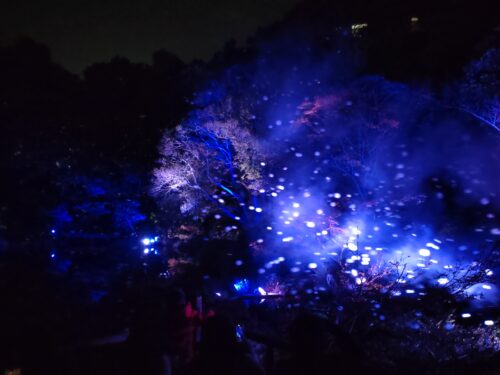 シャボン玉も舞うプロジェクションマッピング