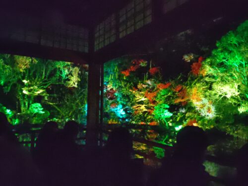 友泉亭公園プロジェクションマッピング