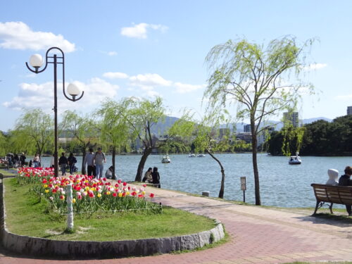 春の大濠公園