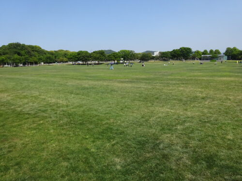 大芝生広場