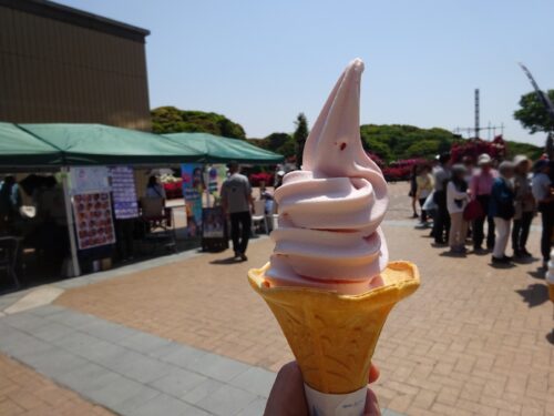 バラソフト