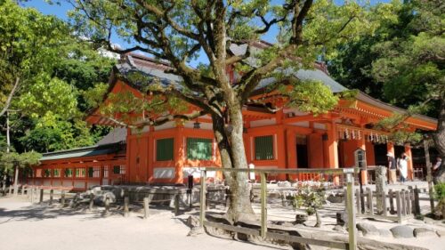 住吉神社の一夜松