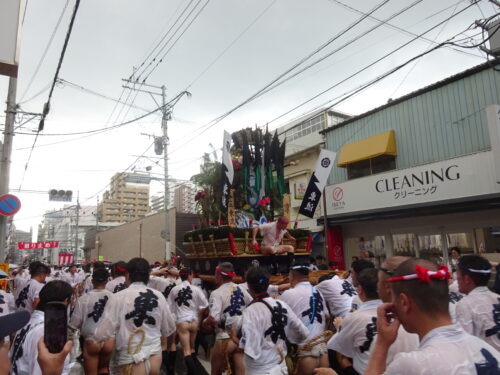 追い山ならし
